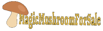 Buy Psilocybin Mushrooms USA